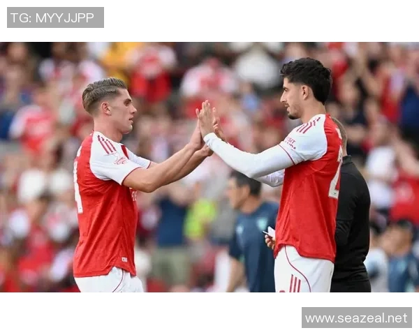 阿森纳新援成功首秀,英超联赛前景引人期待 阿森纳新援成功首秀,英超联赛前景引人期待