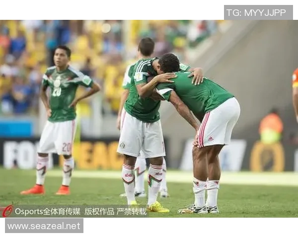 2013年广东队与北京队总决赛精彩回顾与经典瞬间分析 2013年广东队与北京队总决赛精彩回顾与经典瞬间分析