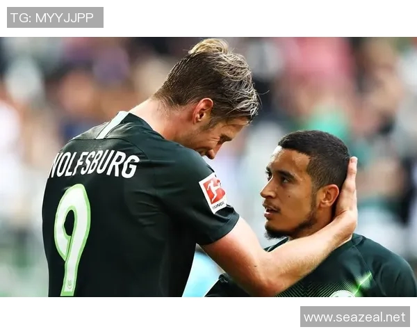 伯利与福利特比赛前瞻分析及胜负预测详解 伯利与福利特比赛前瞻分析及胜负预测详解