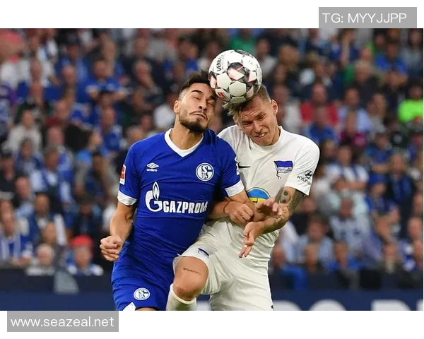 沙尔克04遭遇德甲六连败，跌入降级泥潭难自拔