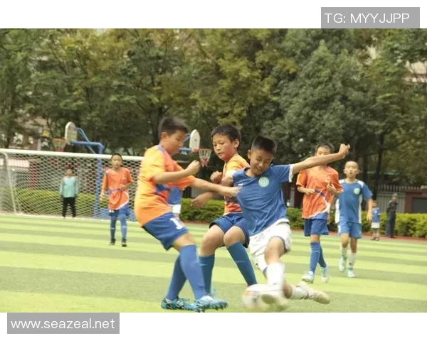 书林二小足球比赛精彩直播视频回顾与精彩瞬间分享 书林二小足球比赛精彩直播视频回顾与精彩瞬间分享