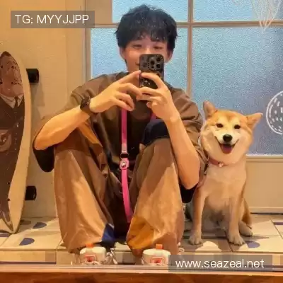 申英芝